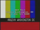 betwashington tc.webp