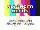 northernbirds tc.webp