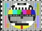 dubai tc.webp