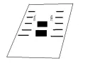 spirals.webp