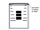 VIPE.webp