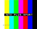 ntv_plus_sport.webp