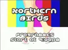 northernbirds tc.webp