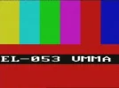 belgian tc.webp