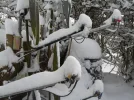 SN852860.webp