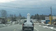 dick_in_a_truck_662.webp
