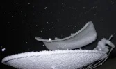 snow (Large).webp