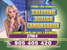 Telemedia 801-29 15-00-18.jpg