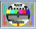 ptq.webp