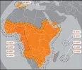 Eutelsat W7 36Ε.webp