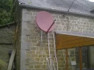 It's up!.webp