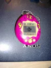tamgotchi1.webp
