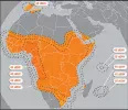 Eutelsat W7 36Ε.webp