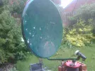 IMG00326-20100606-1047.webp