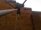 IMG00411-20100714-1247.webp
