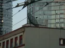 SN853943.webp