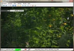 NHK-World (6).webp