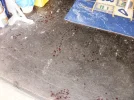 P9270116.webp