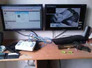 IMG00442-20100720-1744.webp