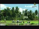 DIYALA09-13 19-53-35.webp