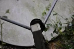 DSC_3594.webp