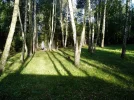 pic 2.webp