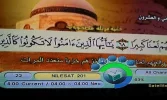 5029810077_cdc72ee6fe_b.webp