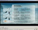 fis.webp