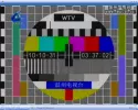 wtv china tc.webp