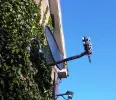 IMG00014-20101116-1241.webp