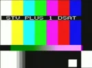 stv +1 tc.webp