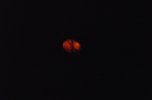 Red Moonrise.jpg