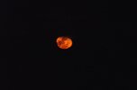 Red Moonrise 2.jpg