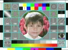 russian tc.webp