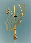 UHF parabolic antena.jpg