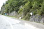 5.webp