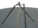 dish2.webp
