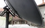 dish3.webp