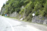 5.webp