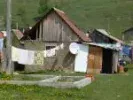 53.webp