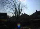 DSCF0108.webp