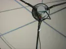 DSCF0110.webp