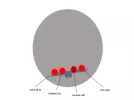dish2.webp