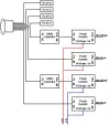 octo-02.webp