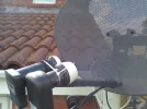 WP_000101.webp