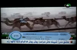nile 7.webp