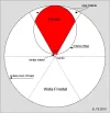 Grafica3.webp