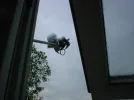 DSCF0151.webp