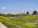 SN855045.webp