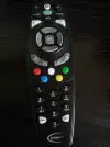 287 (450 x 600).webp